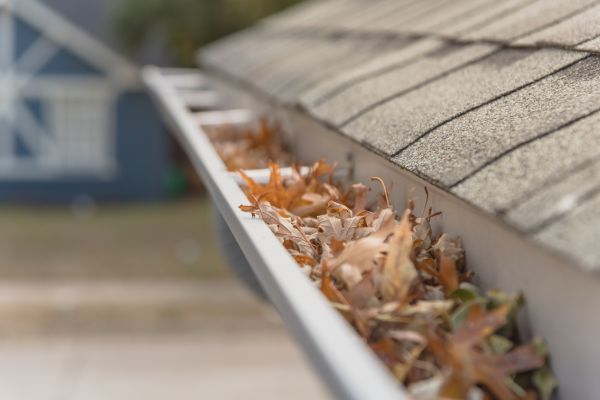 Leaf Barrier Installation in Toccoa